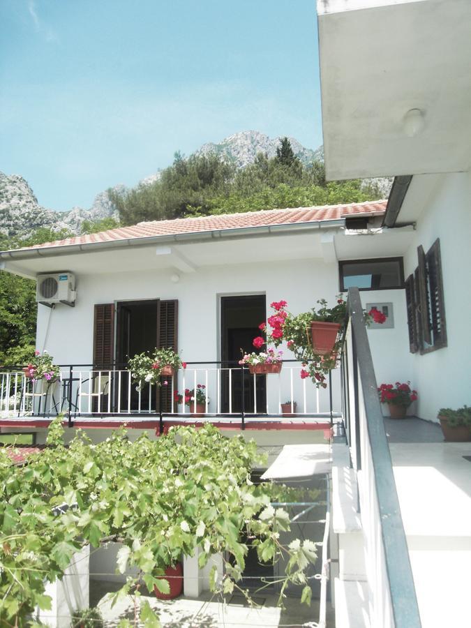 Apartment Ivana Kotor Exteriör bild